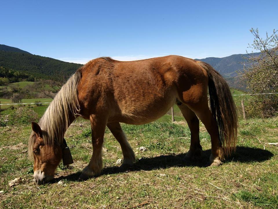 Casa rural Baró Tornafort Bagian luar foto